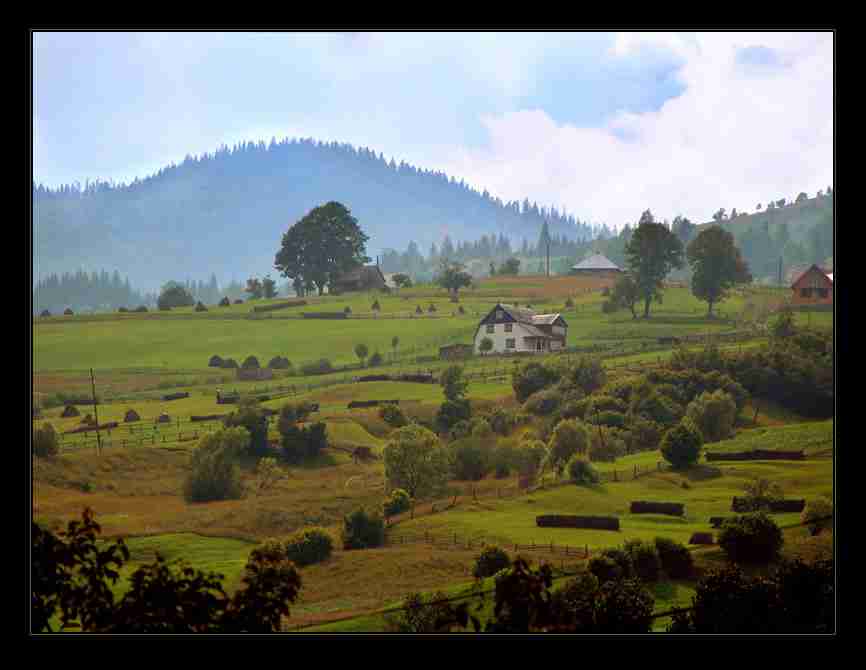 大连工业大学艺术与信息工程学院校花季清禾