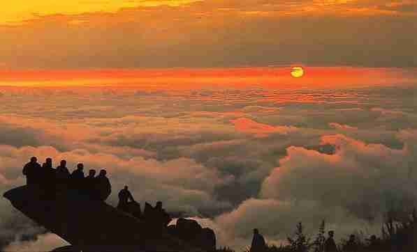 山东胜利职业学院校花汪清沅
