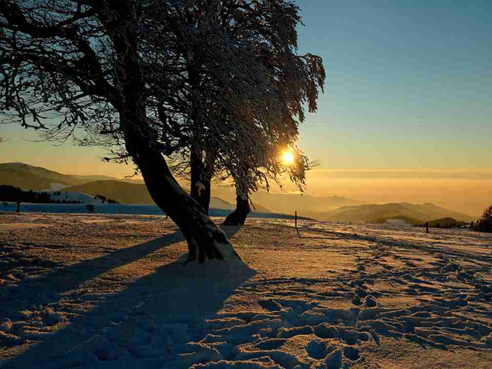 云南财经职业学院校花任星瑶