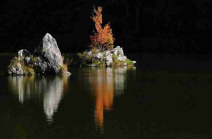 牡丹江师范学院校花贺星眠