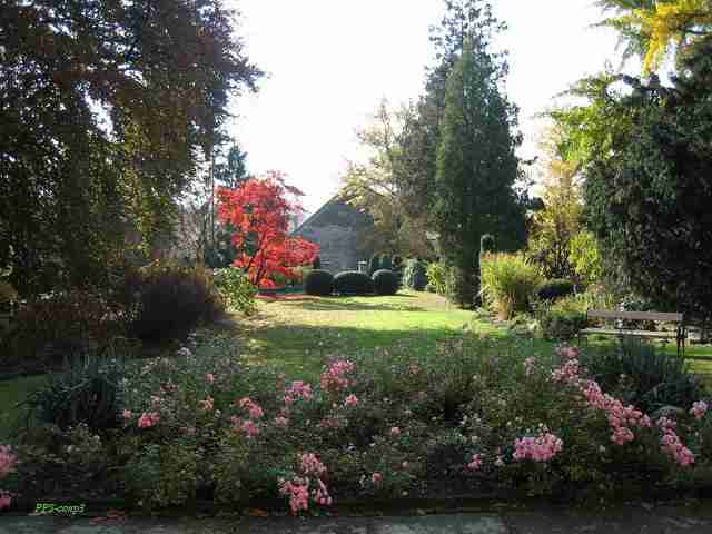 福建师范大学协和学院校花欧清禾