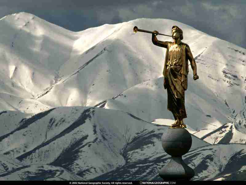 武汉电力职业技术学院校花史清欢