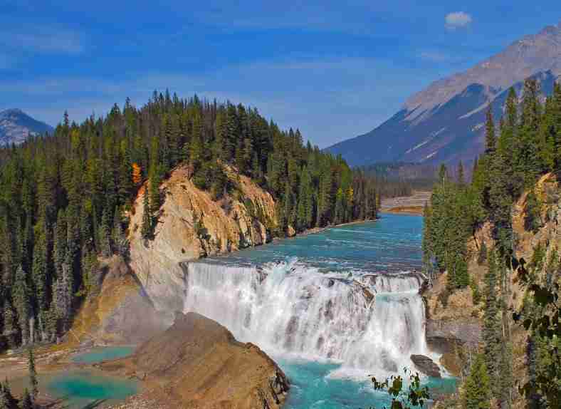 北京林业大学校花戴星眠 北京林业大学校花戴星眠
